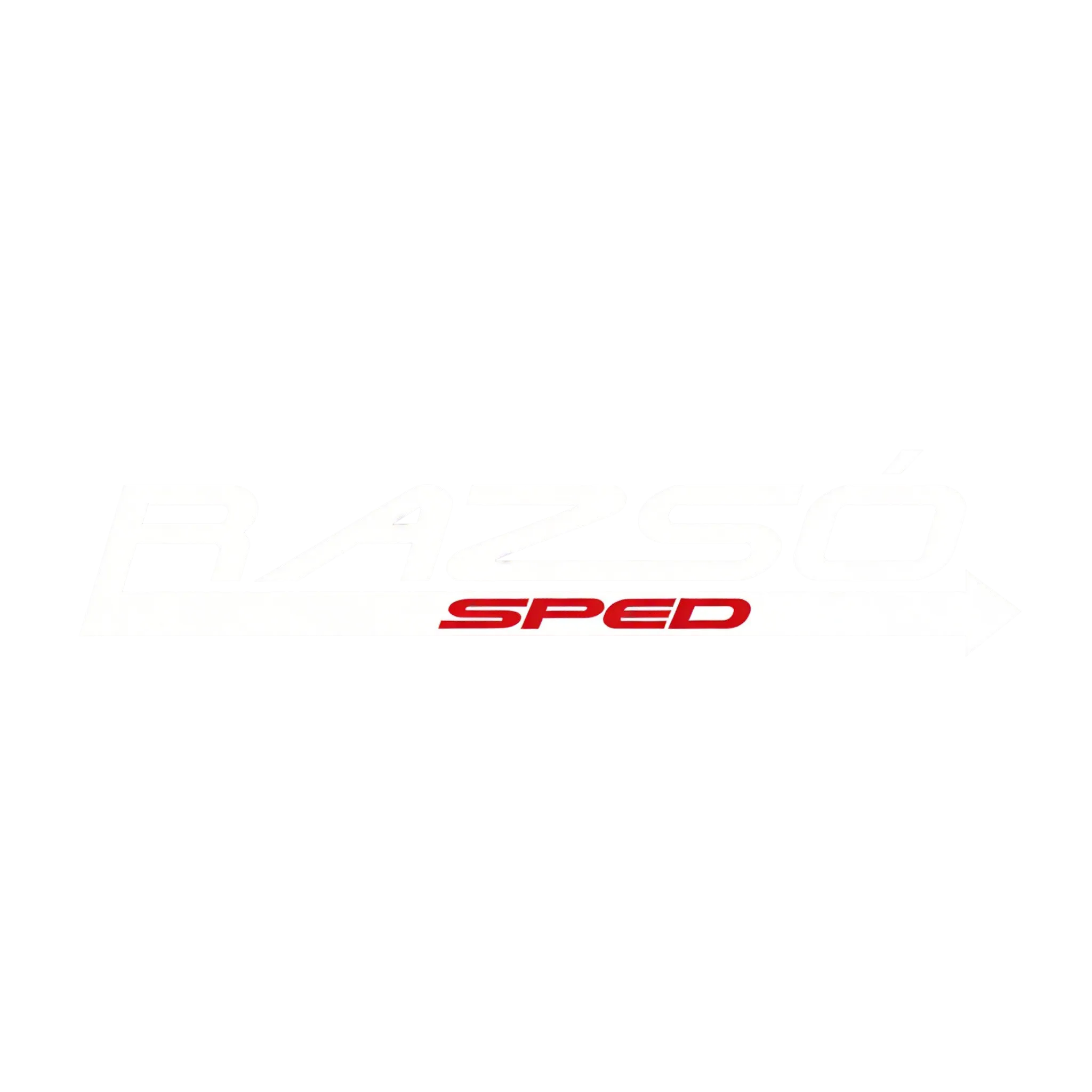 Razsó-Sped Kft.